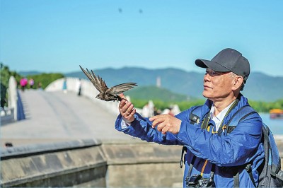 守护候鸟迁飞通道——让空中“旅行家”一路顺风