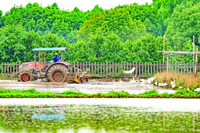 上海市青浦区金泽镇岑卜村：“整村运营”激发振兴活力