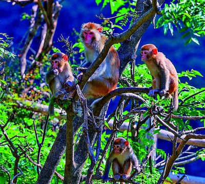 云台山世界地质公园:红峡碧水秀太行 云台山世界地质公园:红峡碧水秀太行