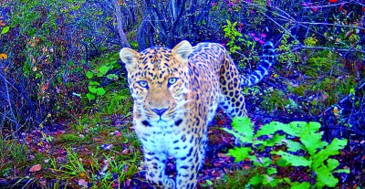 云台山世界地质公园:红峡碧水秀太行 云台山世界地质公园:红峡碧水秀太行