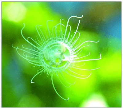 云台山世界地质公园:红峡碧水秀太行 云台山世界地质公园:红峡碧水秀太行