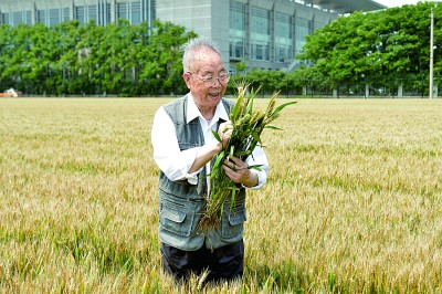 【人民需要这样的科学家⑧】二十六年驯服一头“牛”