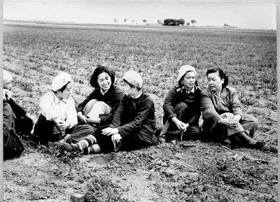 丁玲:呼唤和践行“有情”的文学 丁玲:呼唤和践行“有情”的文学