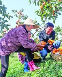 江苏省镇江市句容市戴庄村：稻花香里致富路宽