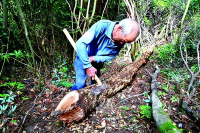 “蕈山话”——农业文化遗产中的语言智慧