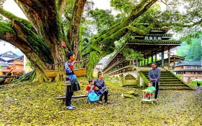 贵州从江：稻香织梦 鱼鸭共歌