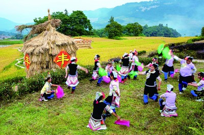 云南红河：稻浪翻滚话丰年