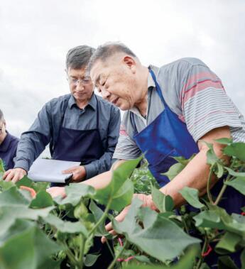 海南：用好优势 向“新”图强