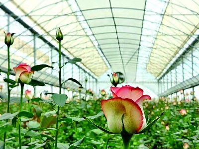 人湖共生 再现五百里滇池 人湖共生 再现五百里滇池