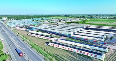 宁夏吴忠市青铜峡市叶盛镇蒋滩村:大棚农业让日子更美了 宁夏吴忠市青铜峡市叶盛镇蒋滩村:大棚农业让日子更美了