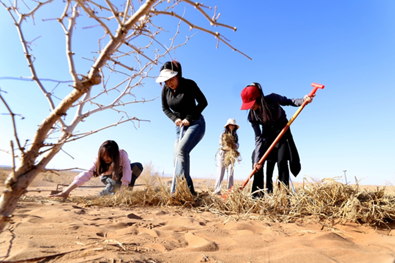 【携手奔赴现代化的明天】扎根西部,新时代学子这样选择!——甘肃高校毕业生西部创业的故事与启示 【携手奔赴现代化的明天】扎根西部,新时代学子这样选择!——甘肃高校毕业生西部创业的故事与启示