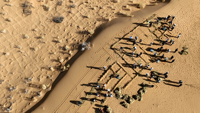 【携手奔赴现代化的明天】扎根西部,新时代学子这样选择!——甘肃高校毕业生西部创业的故事与启示 【携手奔赴现代化的明天】扎根西部,新时代学子这样选择!——甘肃高校毕业生西部创业的故事与启示