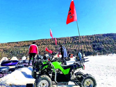 甘肃省定西市渭源县元古堆村：扮靓田园富百姓