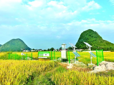 科技吹“新”风 田野绘“丰”景——贵州贵阳探索智慧农业发展新路径 科技吹“新”风 田野绘“丰”景——贵州贵阳探索智慧农业发展新路径