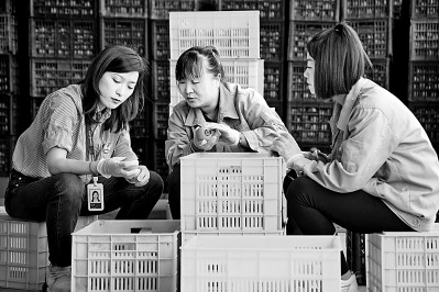 海外留学,如何理性选择、避免盲从 海外留学,如何理性选择、避免盲从