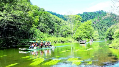 江西省抚州市广昌县杨溪乡东坑村：菇香浓郁漫山林