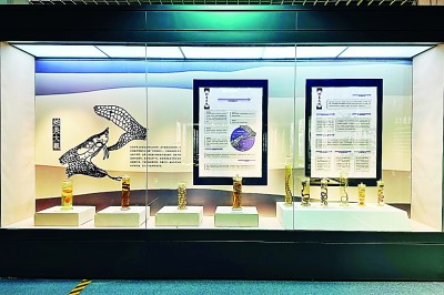 到自然博物馆,过一个“科普年” 到自然博物馆,过一个“科普年”