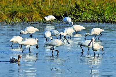 自然财富变经济财富,路子可以这么宽 自然财富变经济财富,路子可以这么宽