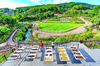 自然财富变经济财富,路子可以这么宽 自然财富变经济财富,路子可以这么宽