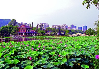 四川宜宾:长江边的哪吒文化之乡 四川宜宾:长江边的哪吒文化之乡