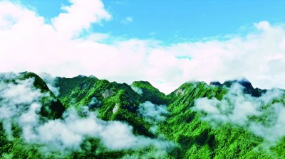 安徽牯牛降国家级自然保护区:林海幽深处 鹿鸣动飞鹇 安徽牯牛降国家级自然保护区:林海幽深处 鹿鸣动飞鹇