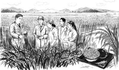 沈阳农业大学北方粳稻与生物炭研究团队:只为土地获丰收、农民展笑颜 沈阳农业大学北方粳稻与生物炭研究团队:只为土地获丰收、农民展笑颜