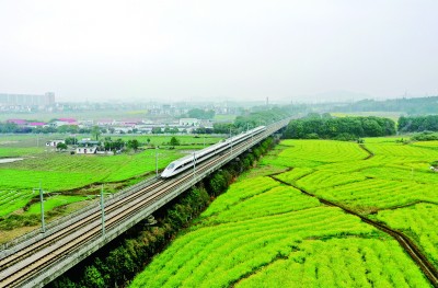 代表法修改,关系你我他 代表法修改,关系你我他