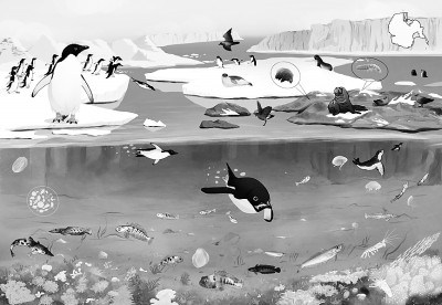 古DNA解码南极生态变迁 古DNA解码南极生态变迁