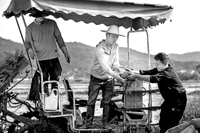 全面提高人才自主培养质量 造就大批拔尖创新人才 全面提高人才自主培养质量 造就大批拔尖创新人才