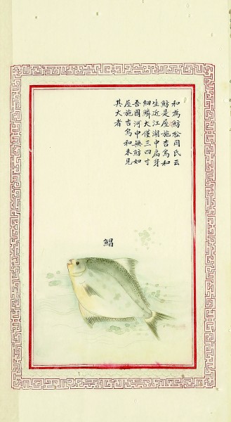 《记海错》：从美味海鲜到奇幻海洋