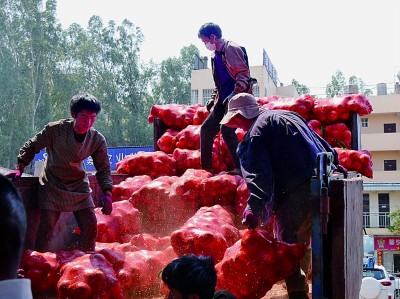 云上奏响丰饶曲——云南推进高原特色农产品出山