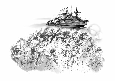 光明文化周末：巢湖治藻记