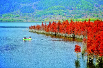满目青翠 绿富同兴——福建南平统筹推进生态保护与绿色发展的实践探索