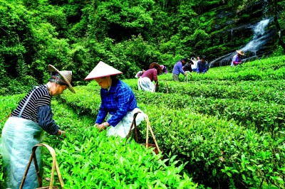 满目青翠 绿富同兴——福建南平统筹推进生态保护与绿色发展的实践探索