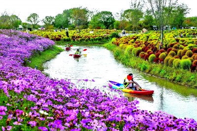 看,大都市的乡村这样绿色蝶变——上海积极践行“绿水青山就是金山银山”理念 看,大都市的乡村这样绿色蝶变——上海积极践行“绿水青山就是金山银山”理念