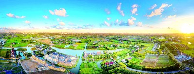 看,大都市的乡村这样绿色蝶变——上海积极践行“绿水青山就是金山银山”理念 看,大都市的乡村这样绿色蝶变——上海积极践行“绿水青山就是金山银山”理念