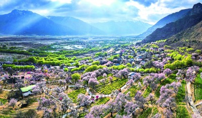 看一朵花如何绽放无数种可能 看一朵花如何绽放无数种可能