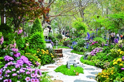 看一朵花如何绽放无数种可能 看一朵花如何绽放无数种可能