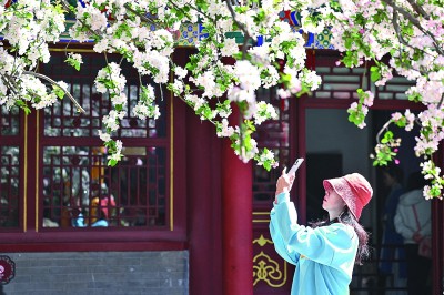 看一朵花如何绽放无数种可能 看一朵花如何绽放无数种可能