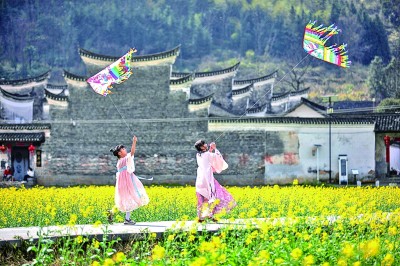 看一朵花如何绽放无数种可能 看一朵花如何绽放无数种可能