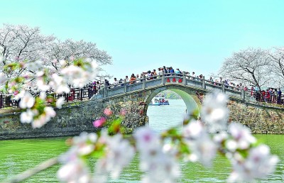 看一朵花如何绽放无数种可能 看一朵花如何绽放无数种可能