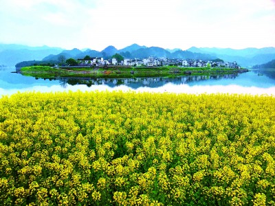 安徽黄山：黛瓦凝云烟 徽州入画屏