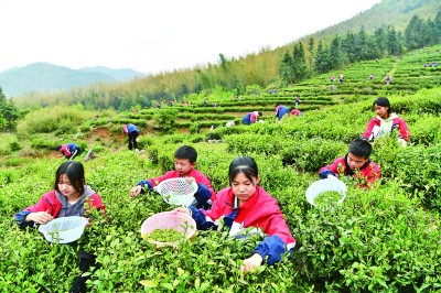 亦耕亦读，教育在土地上扎根