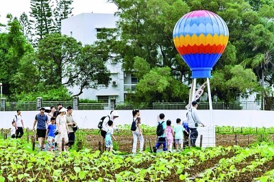 亦耕亦读，教育在土地上扎根