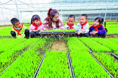 亦耕亦读，教育在土地上扎根