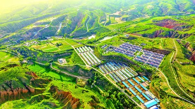 从“土里土气”到“名扬万里”——陕北做大做强特色农业产业