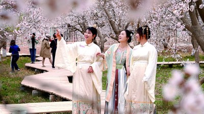 【文化中国行】在新疆寻找春天