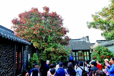 【文化中国行】江苏泰州:溱潼水国胜江南 【文化中国行】江苏泰州:溱潼水国胜江南