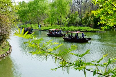 【文化中国行】江苏泰州:溱潼水国胜江南 【文化中国行】江苏泰州:溱潼水国胜江南