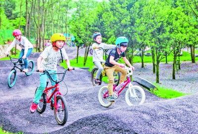 江西赣州市大余县黄龙镇大龙村：青山茂林兴旺产业